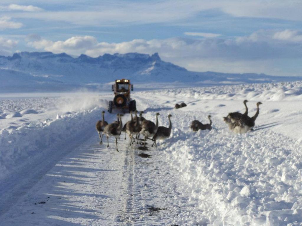 Apart El Nevado Malarguee ภายนอก รูปภาพ